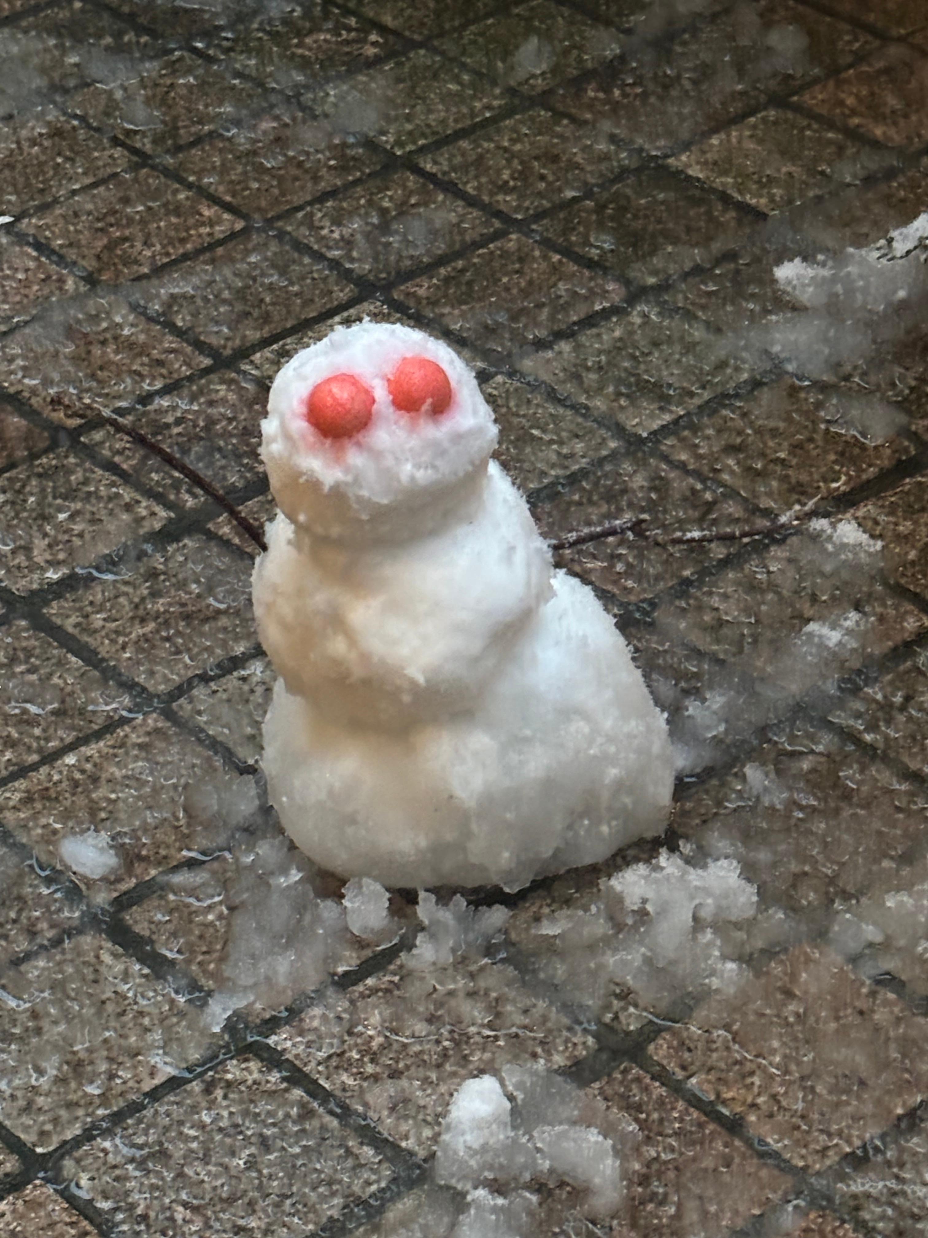 Snow doorman ❤️🇫🇷😜