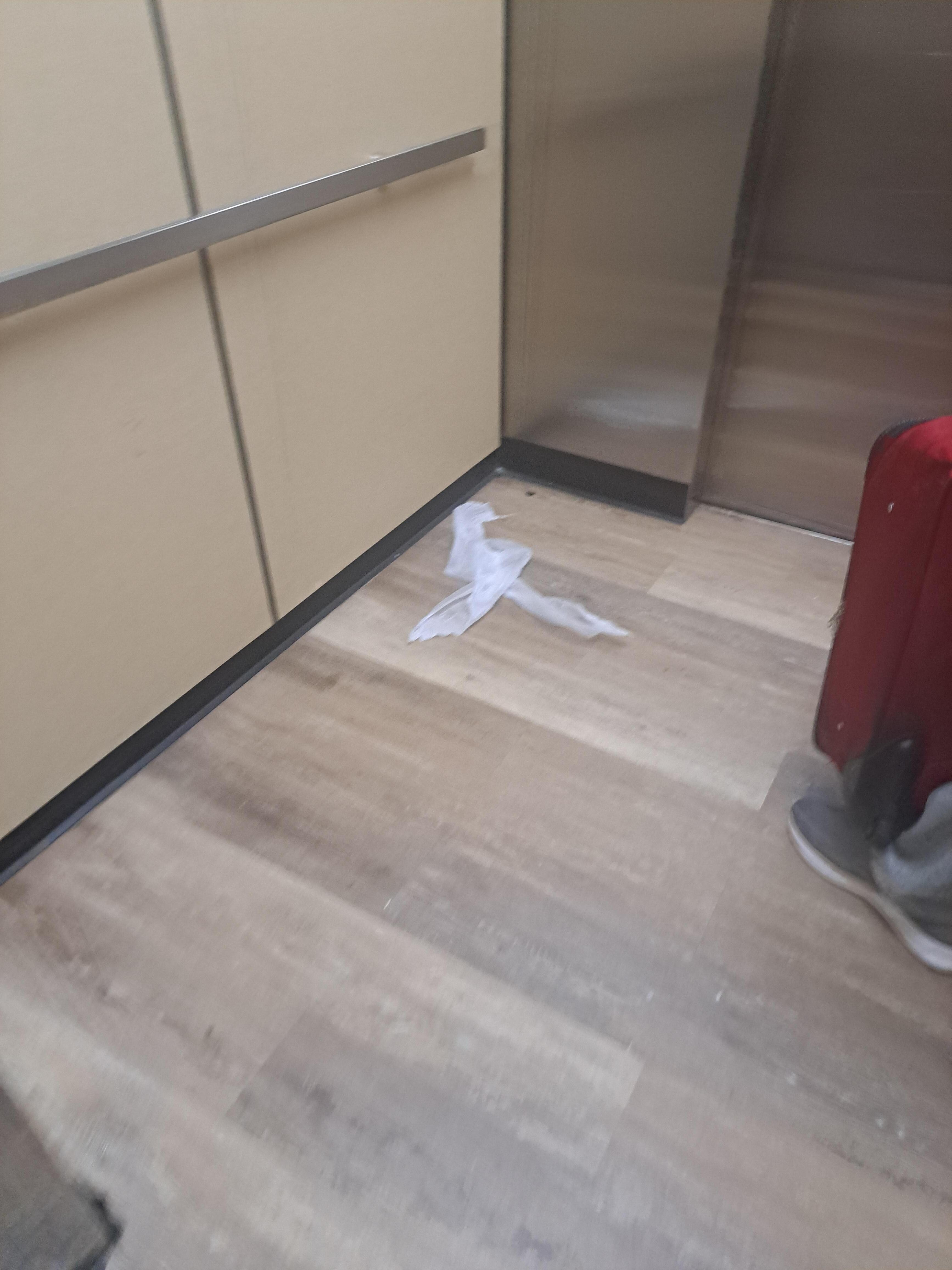 dirty elevator.
