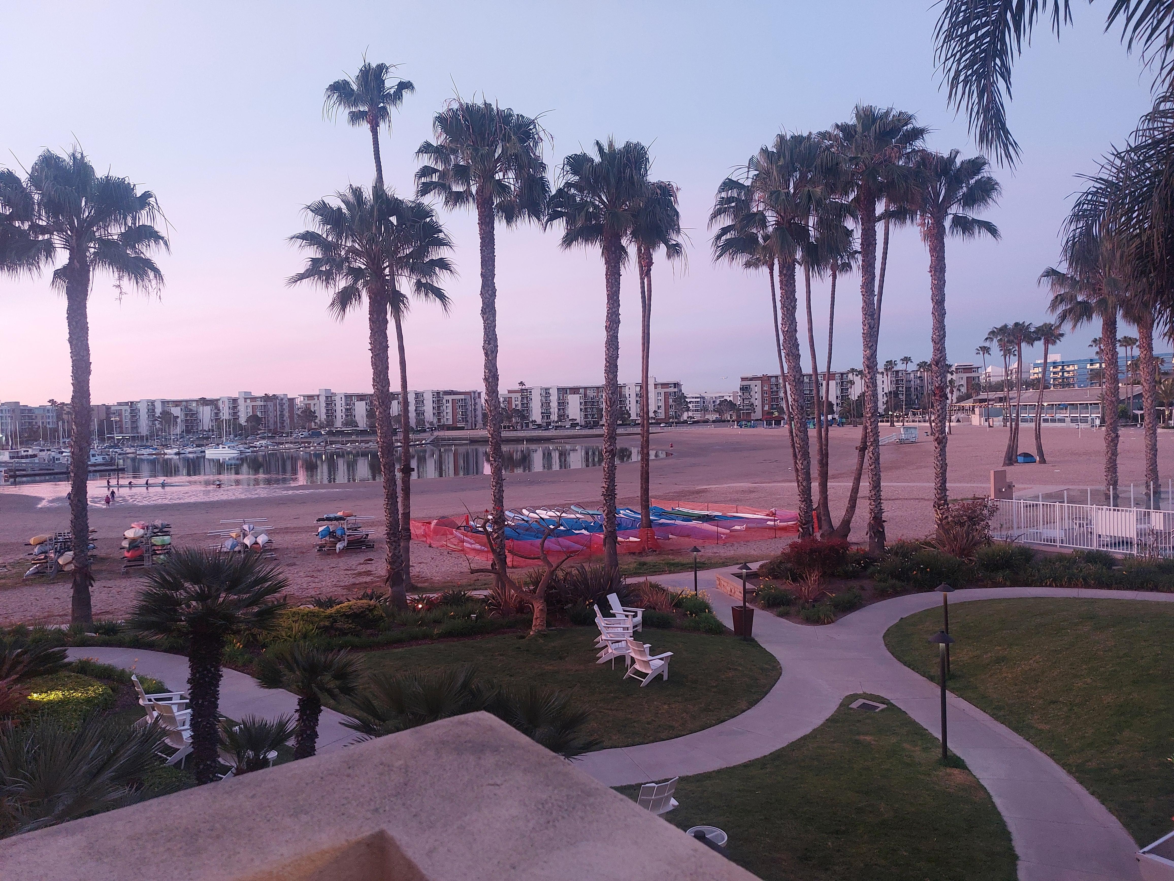 View from the rooftop