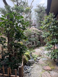 Side garden