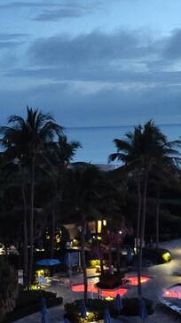 Pools and trees have lights for Christmas