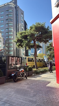 一出門口就有大巴去機場