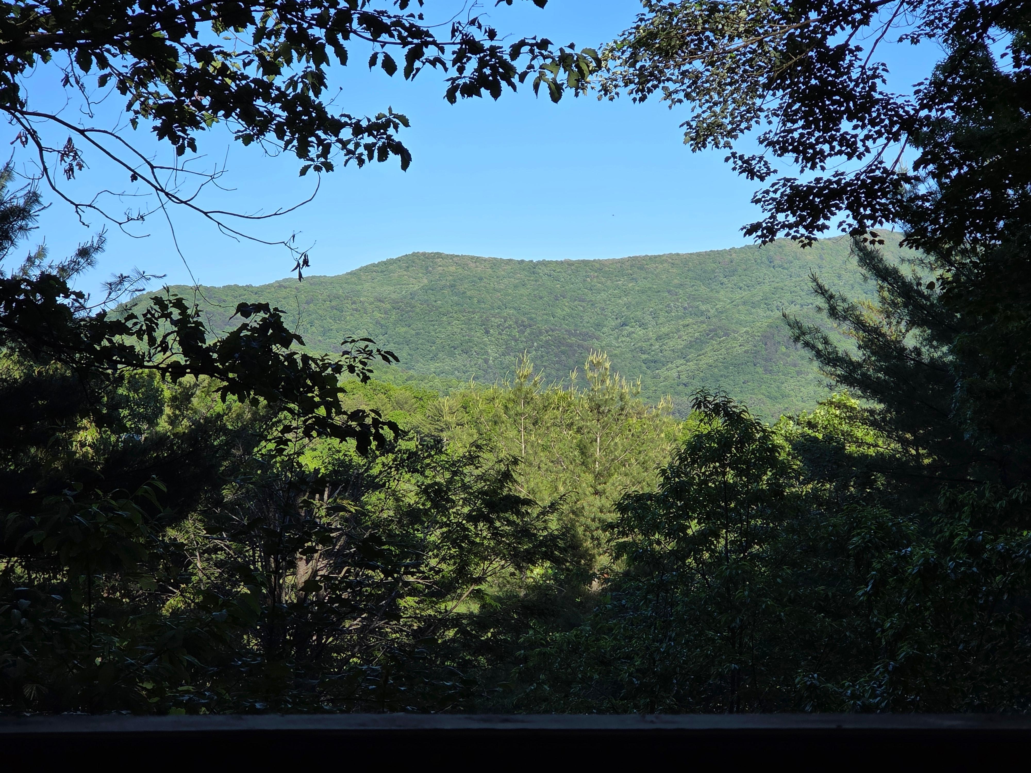 Great mountain views 