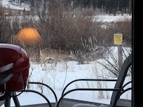 The view out the back.