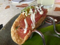 Ahi taco from the bar menu