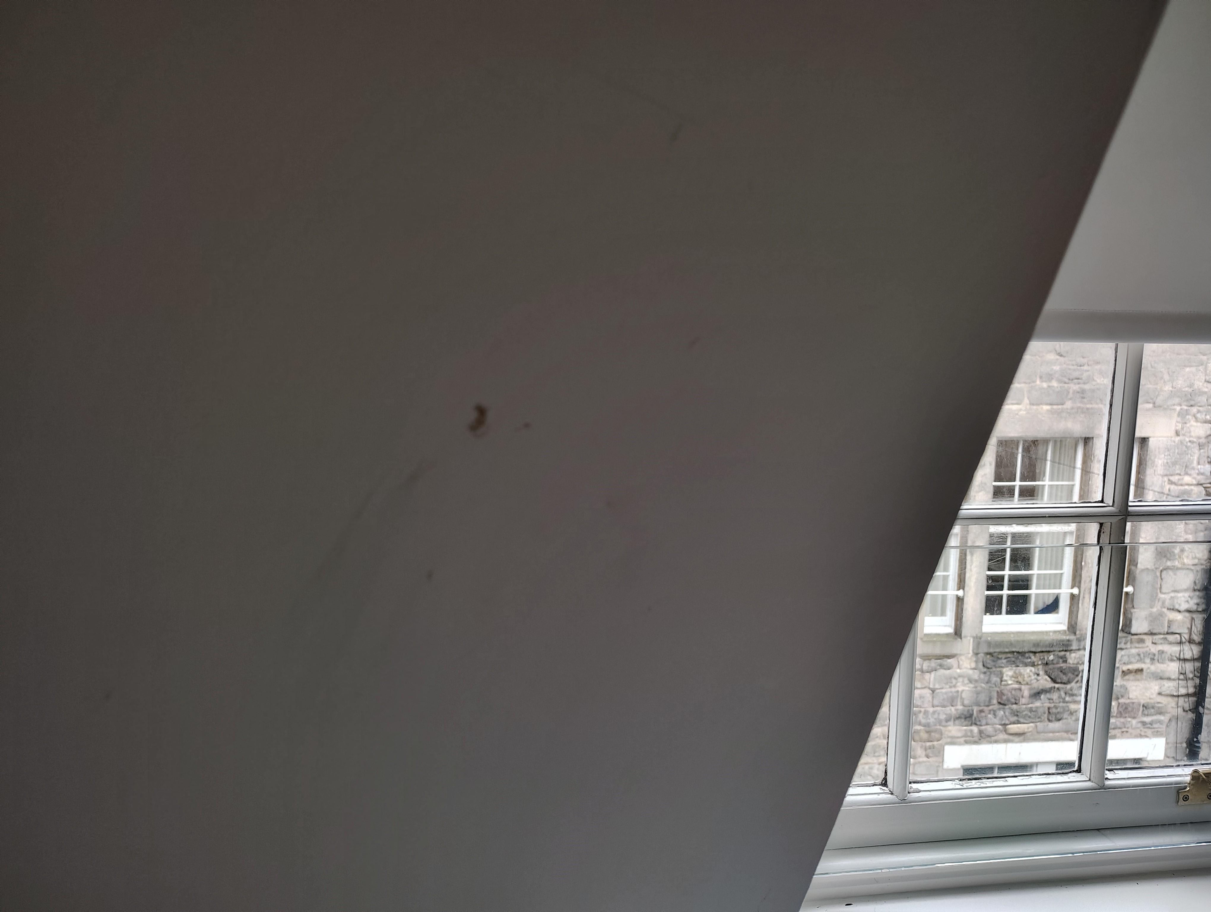 5.	Boogers on the wall next to the bed