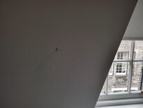5. Boogers on the wall next to the bed
