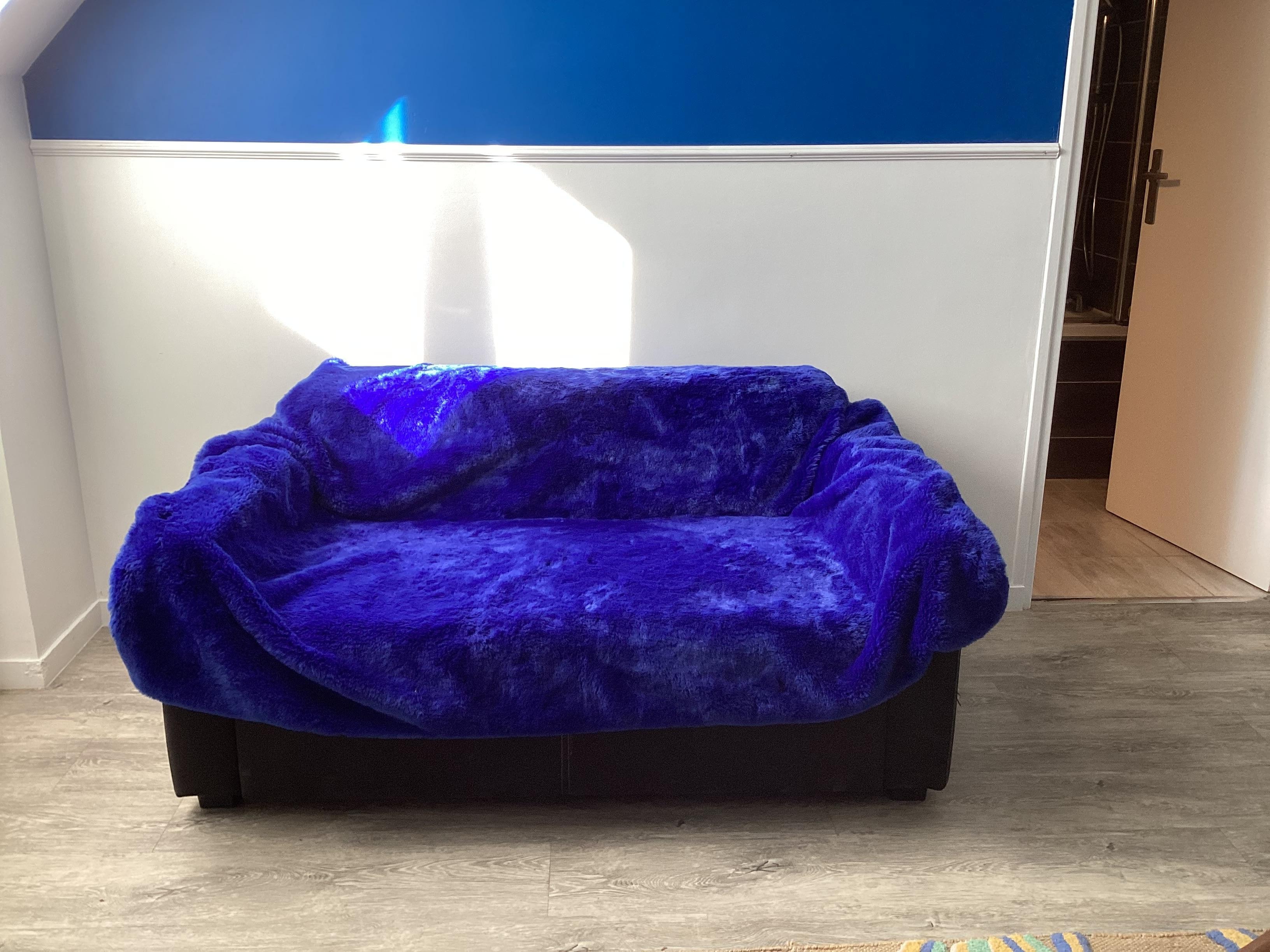 Sofa with furry cover