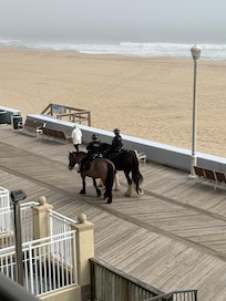 Police on horseback patrolling the boardwalk.