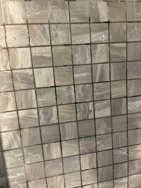 Black mold in showers