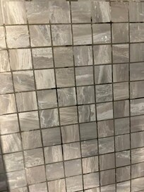 Black mold in showers