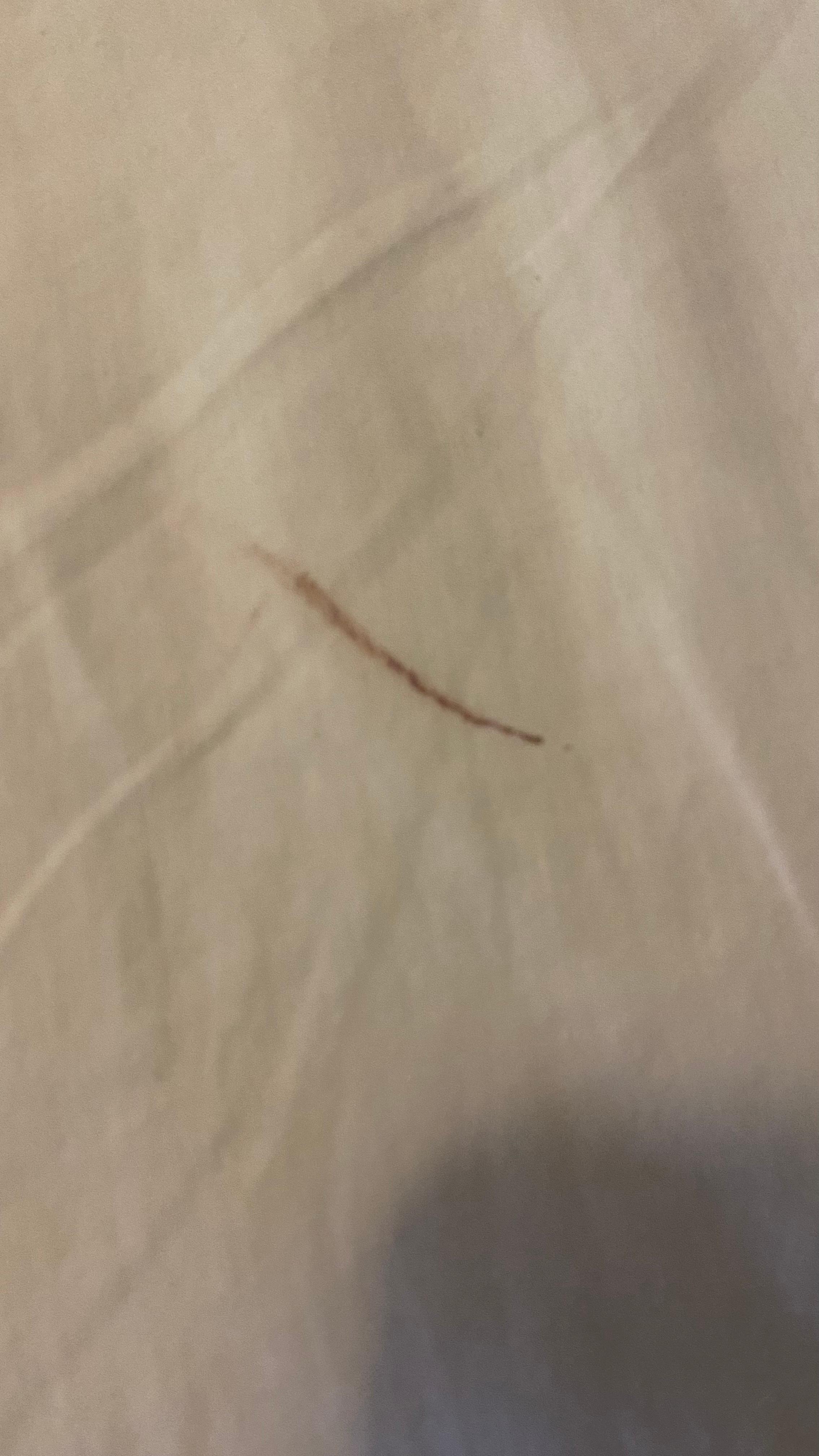 Our bed sheets when we arrived