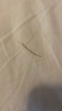 Our bed sheets when we arrived