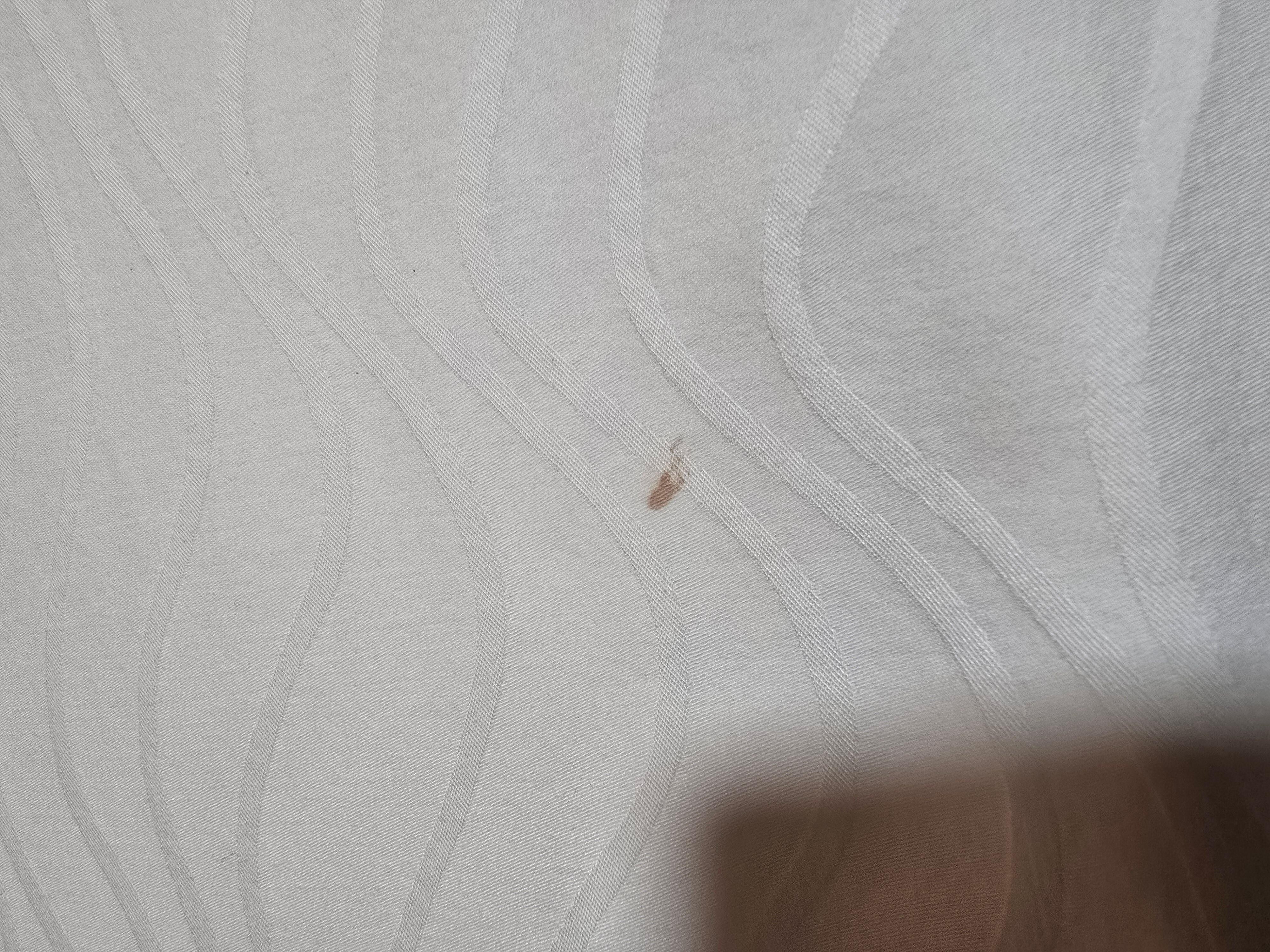 blood stain on the bed sheets that look fresh. 