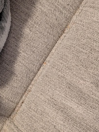 Couch after brushing what I could out.