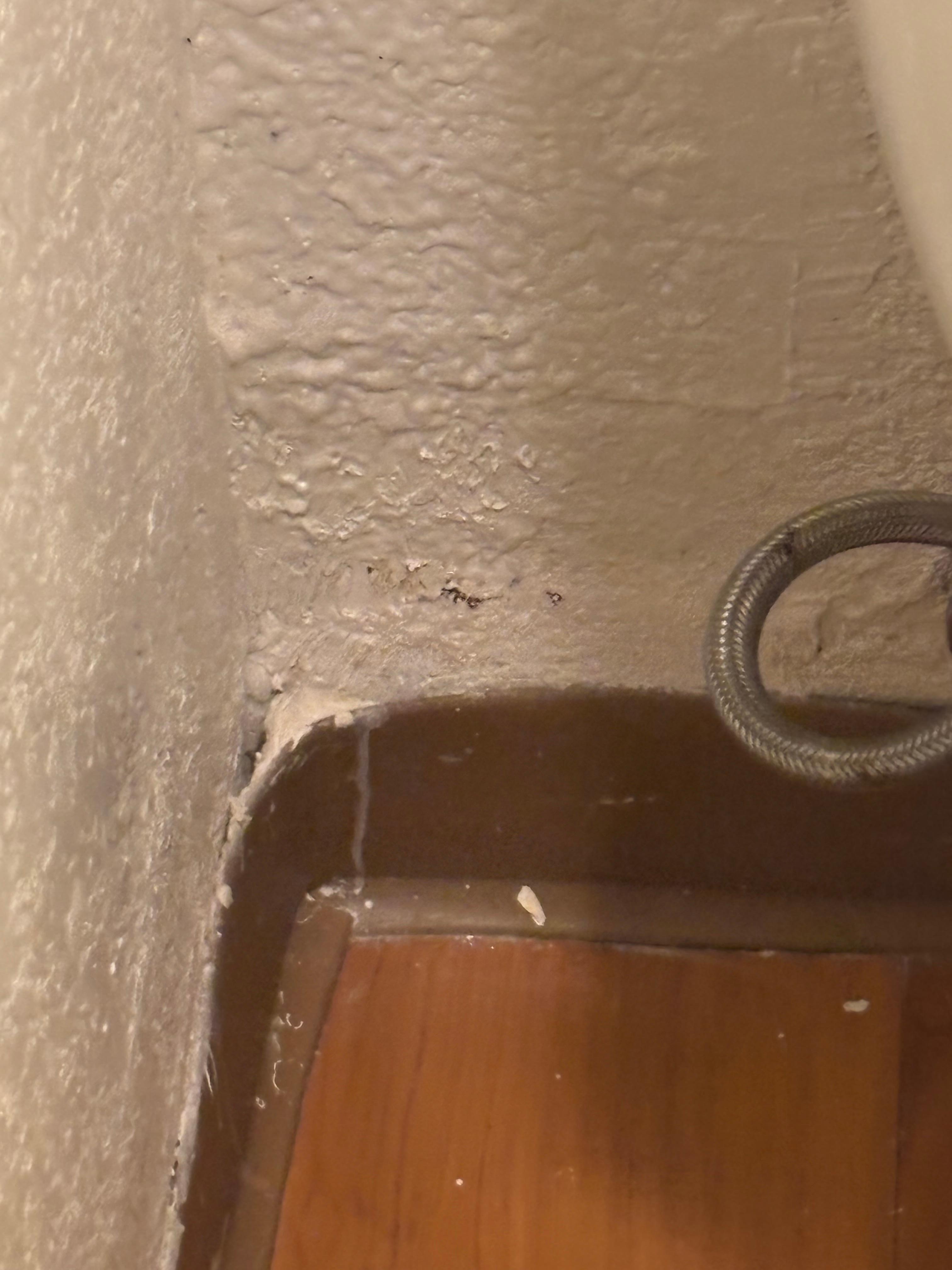 Nice hole so who knows is invited