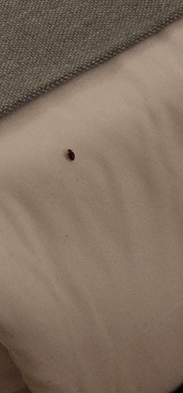 This was the worst thing ever 😣