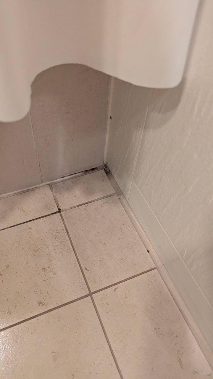 Schwarzschimmel Badewanne