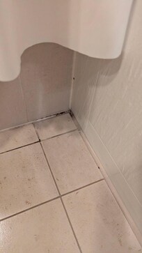 Schwarzschimmel Badewanne