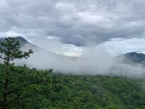 Morning on the Mountain