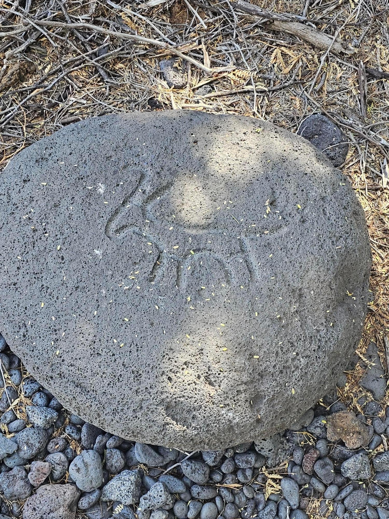 Puako Petroglyphs