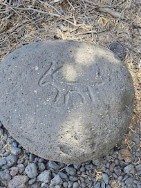 Puako Petroglyphs
