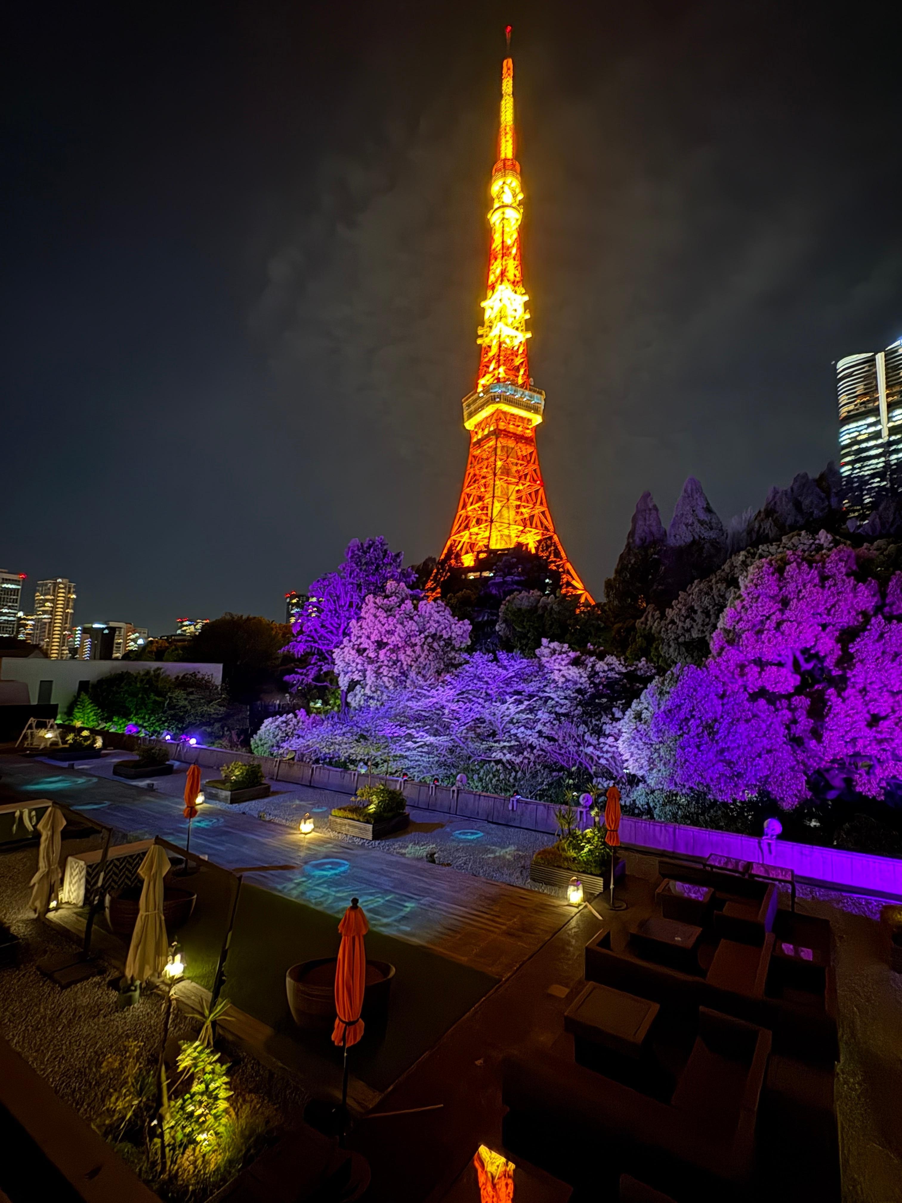 amazing view of the Tokyo tower from our room