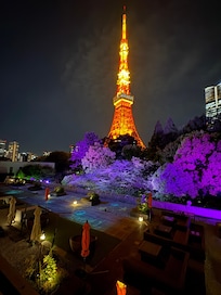 amazing view of the Tokyo tower from our room