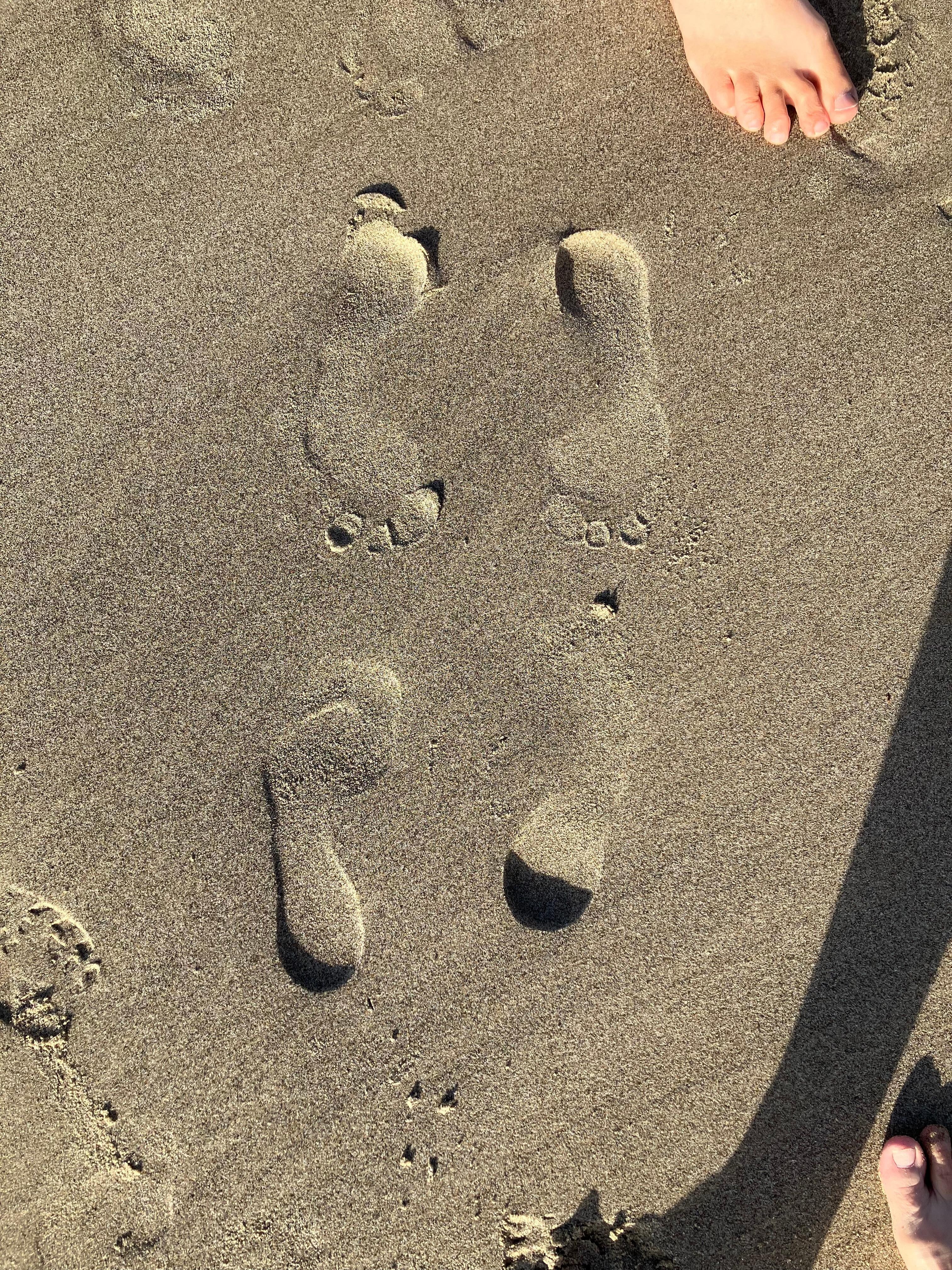 Walking on the beach 