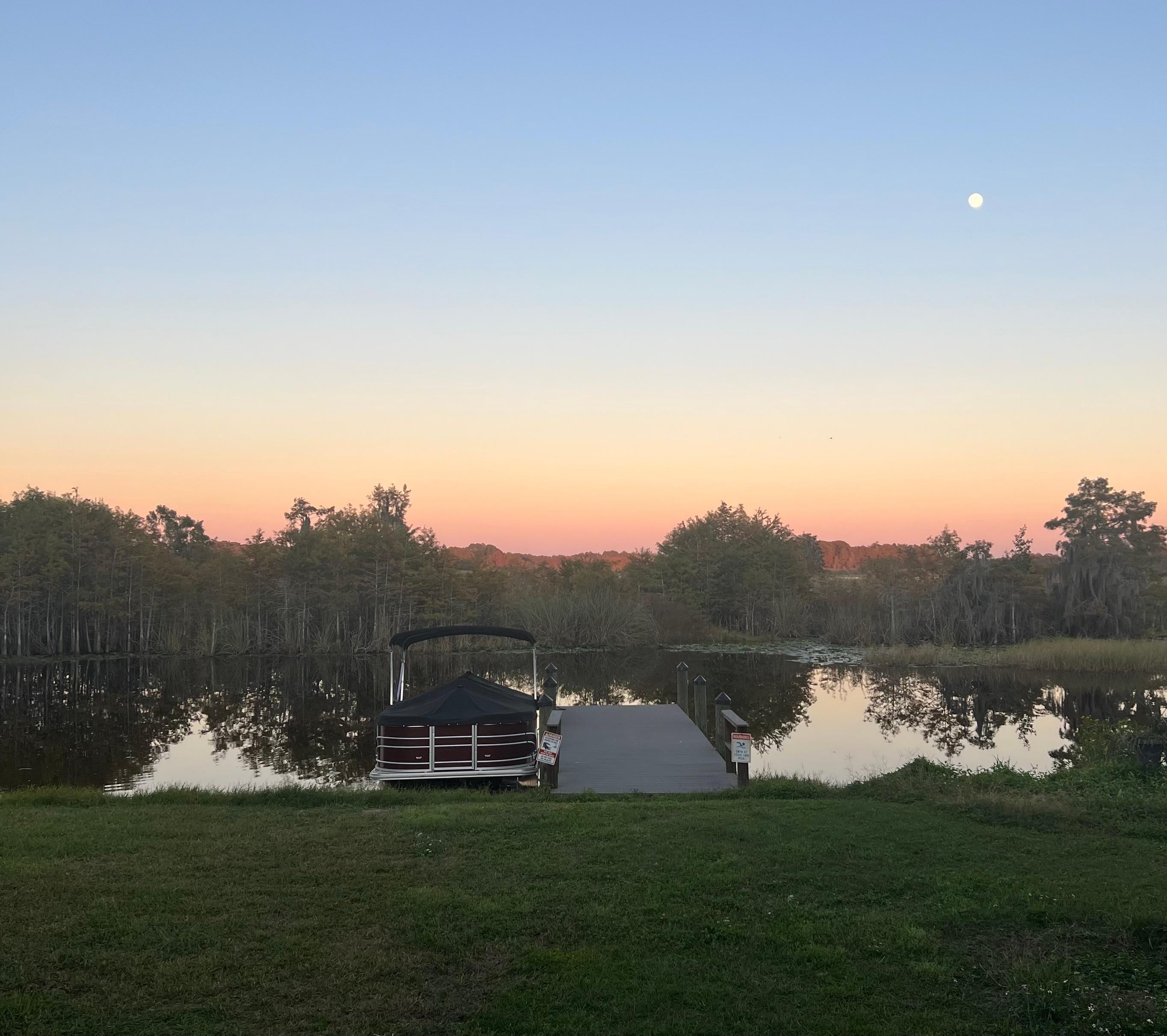 View from the screened in deck. 