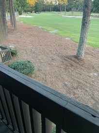 Pinehurst #3, hole 18 green from the main balcony.