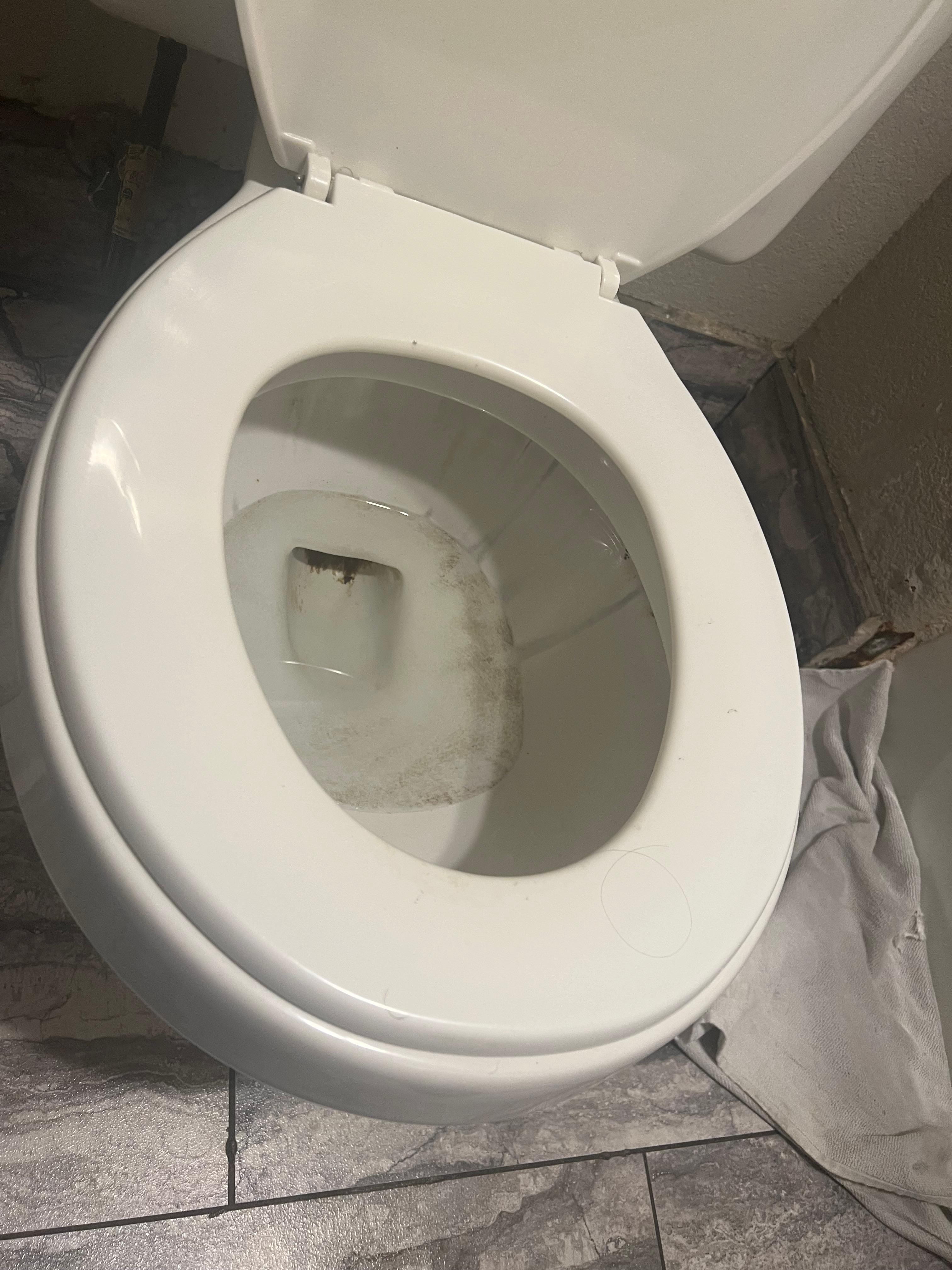 The toilet had black stuff all in it