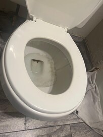 The toilet had black stuff all in it