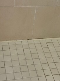 Moldy showers