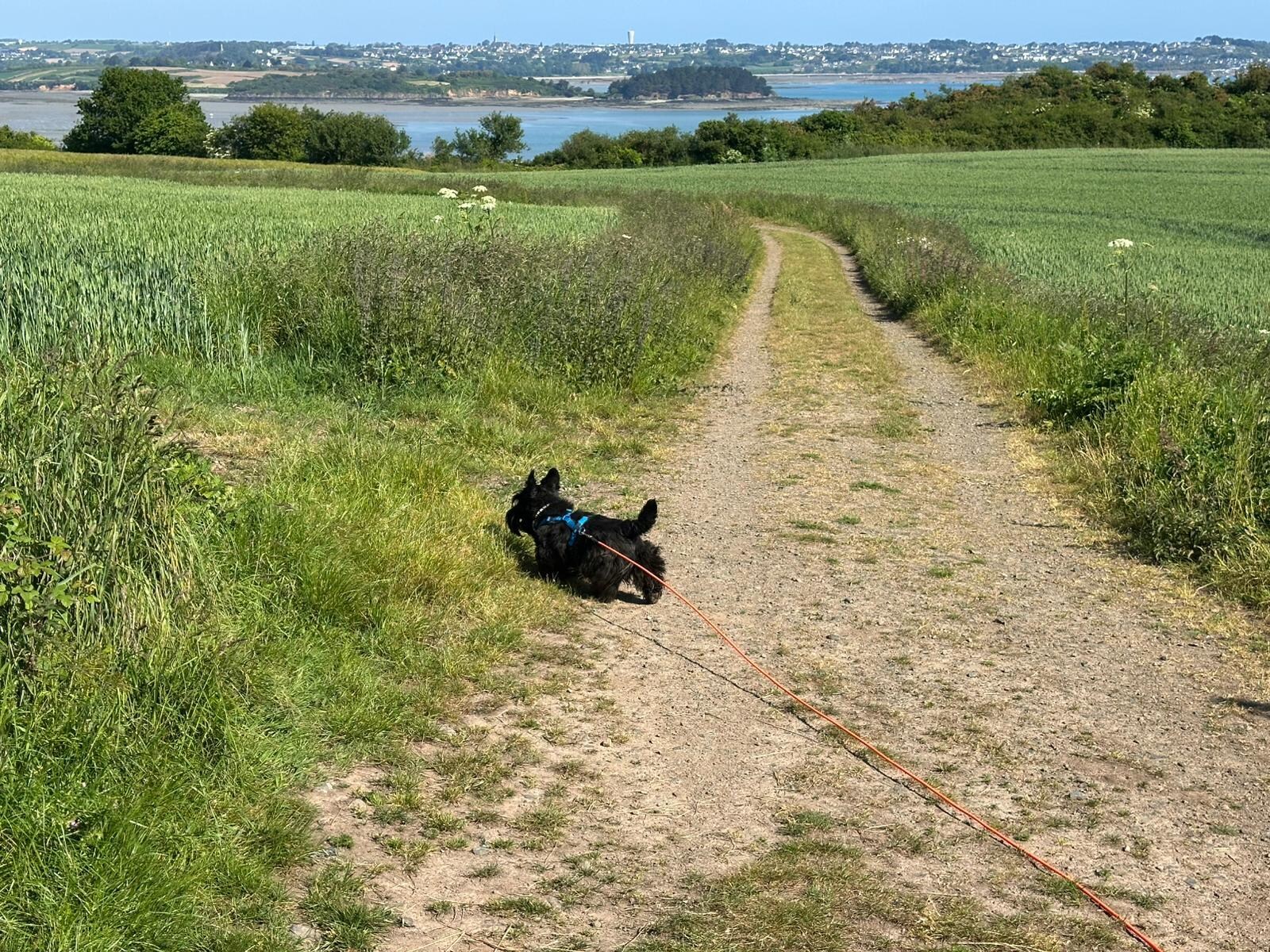 Spaziergang nach unser Ankunft in Paimpol