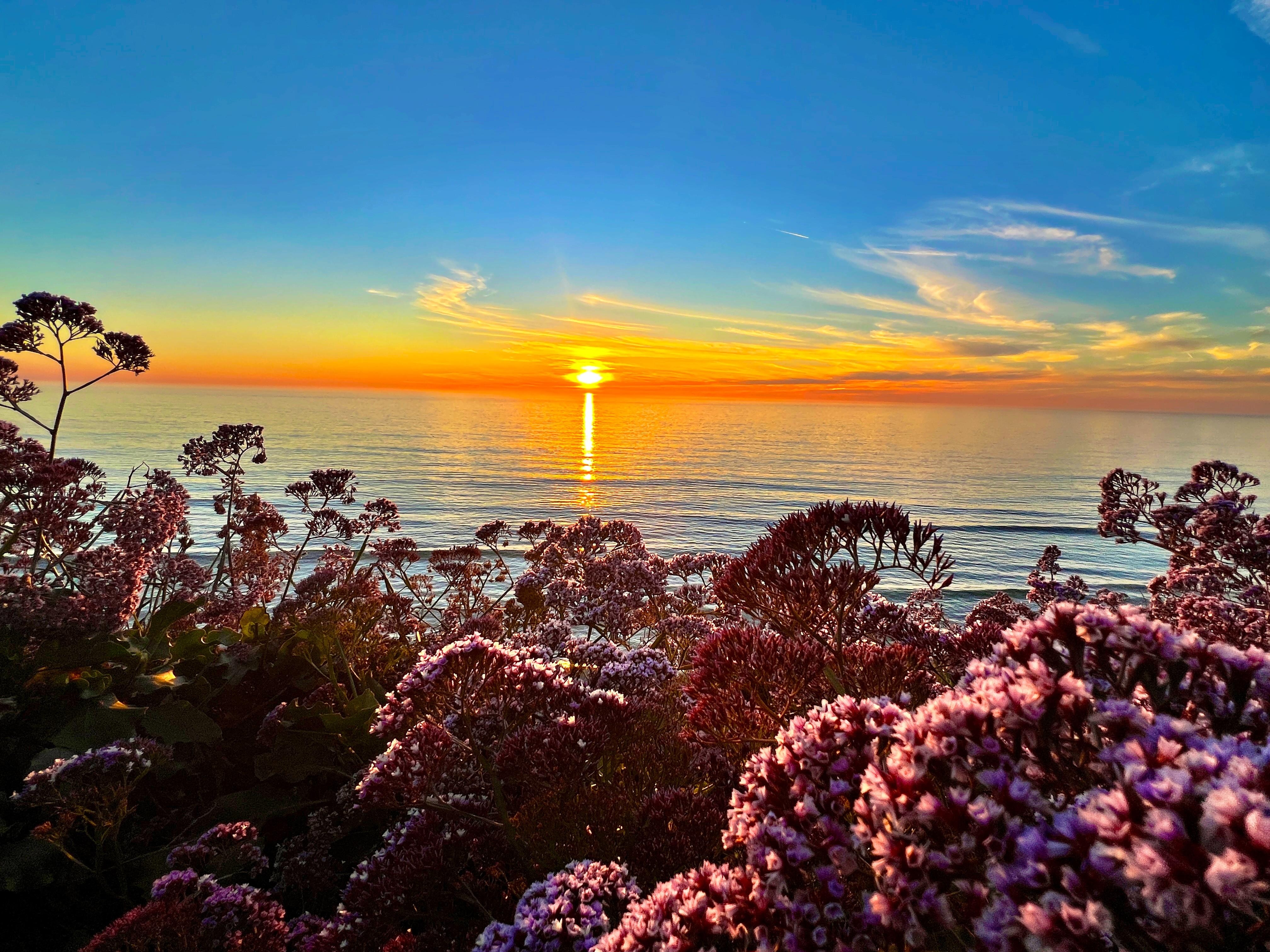 Beautiful location near to two beaches and several sunset viewpoints. 