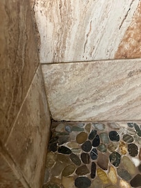 Mold on the shower floor