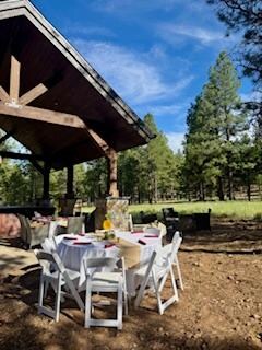 A view of the back yard.