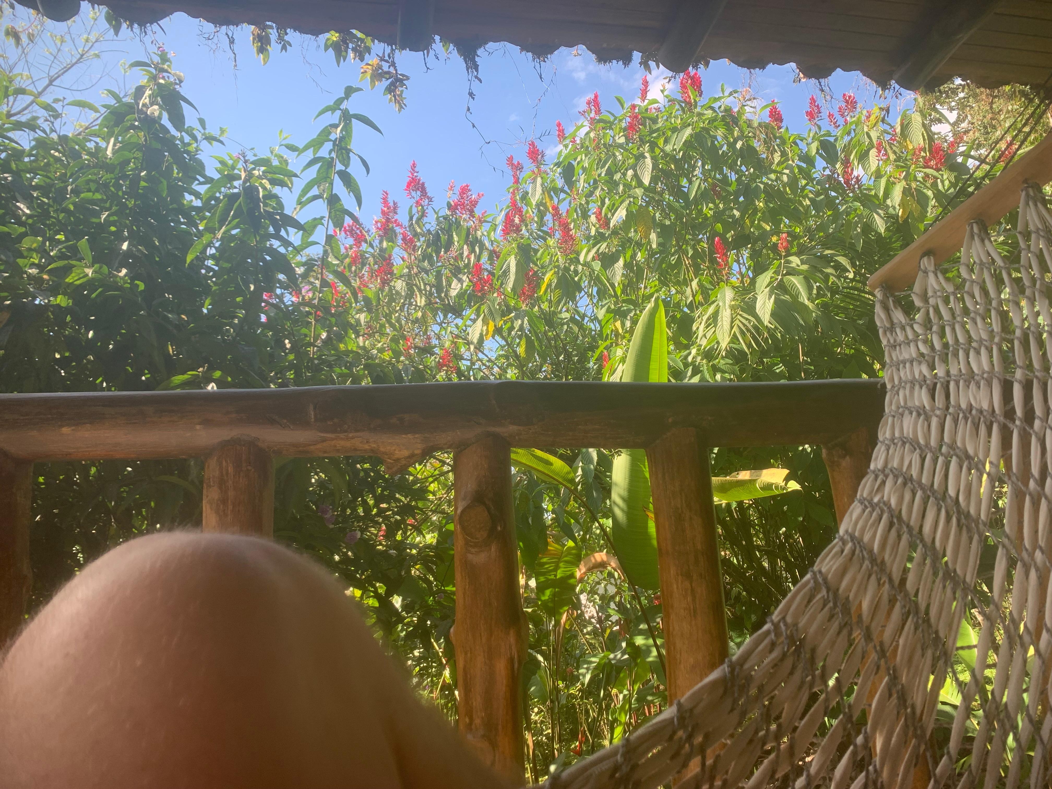 Every morning and evening I sat there