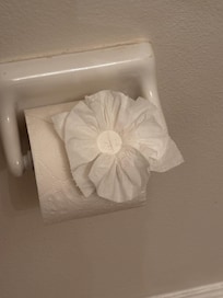 Decorative bathroom (even the toilet rolls)