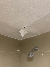 Pieces of the ceiling were falling into the shower as we were on it