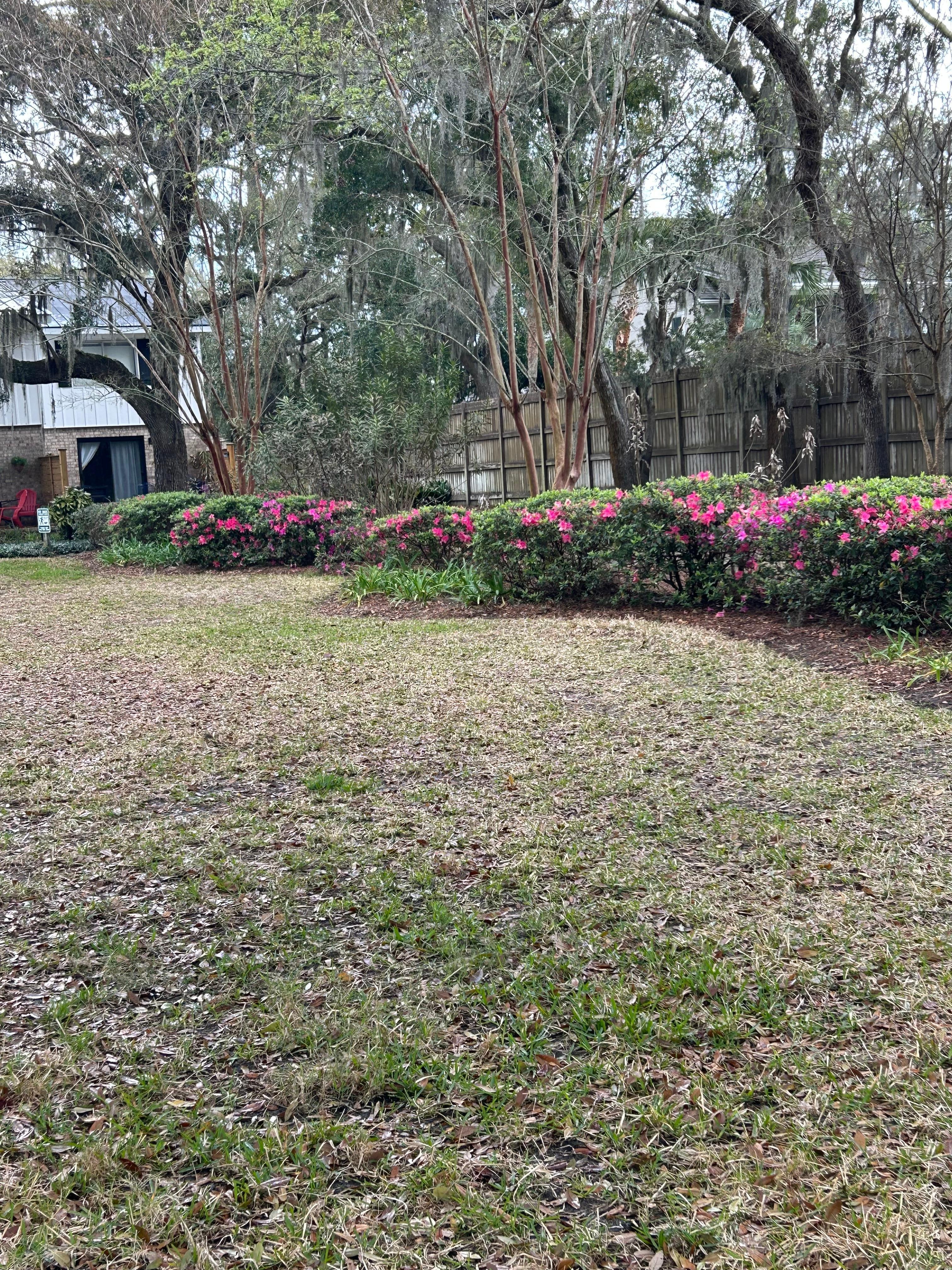 Area near the patio.