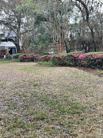 Area near the patio.