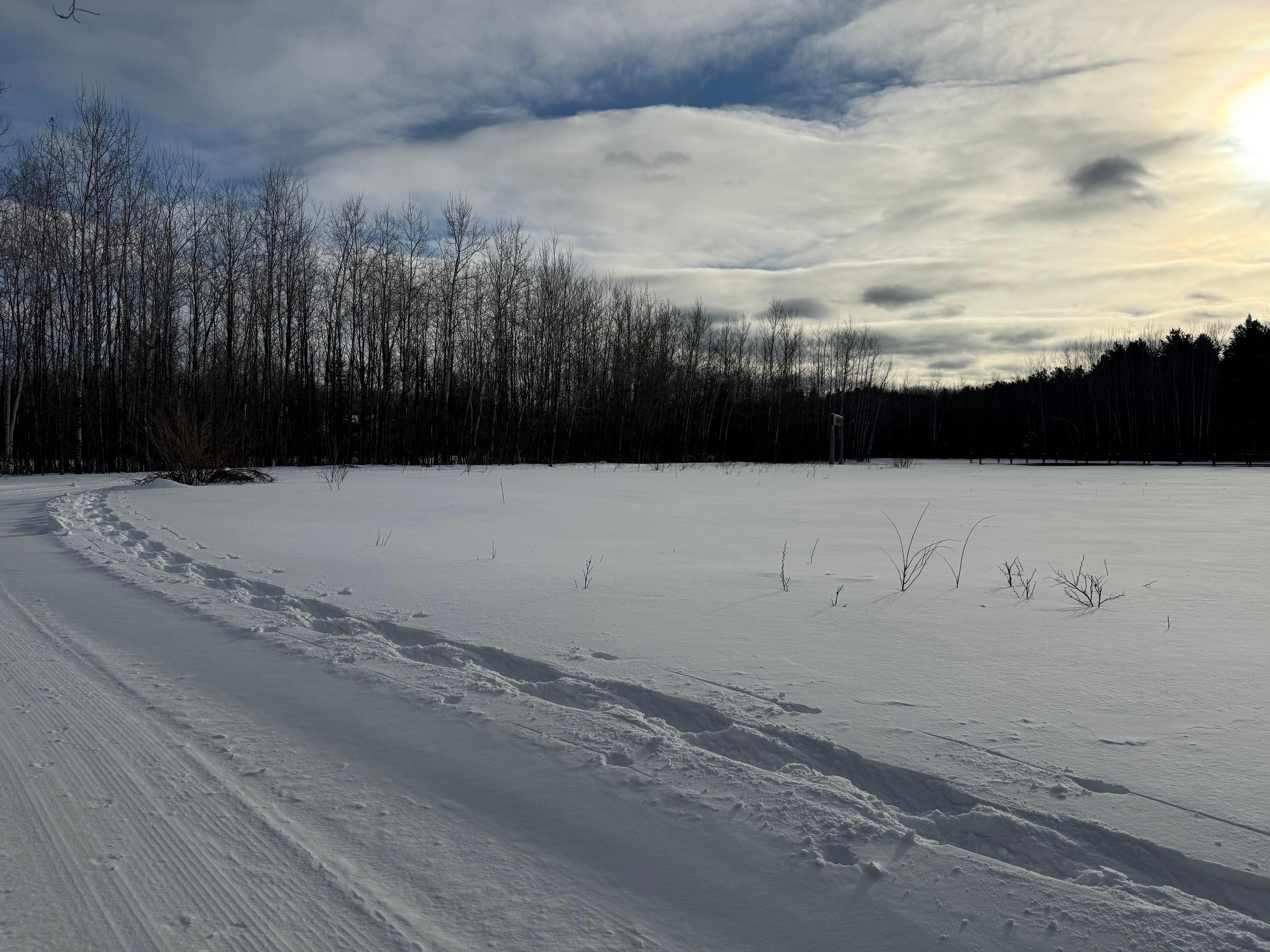Nordic trails right out the door