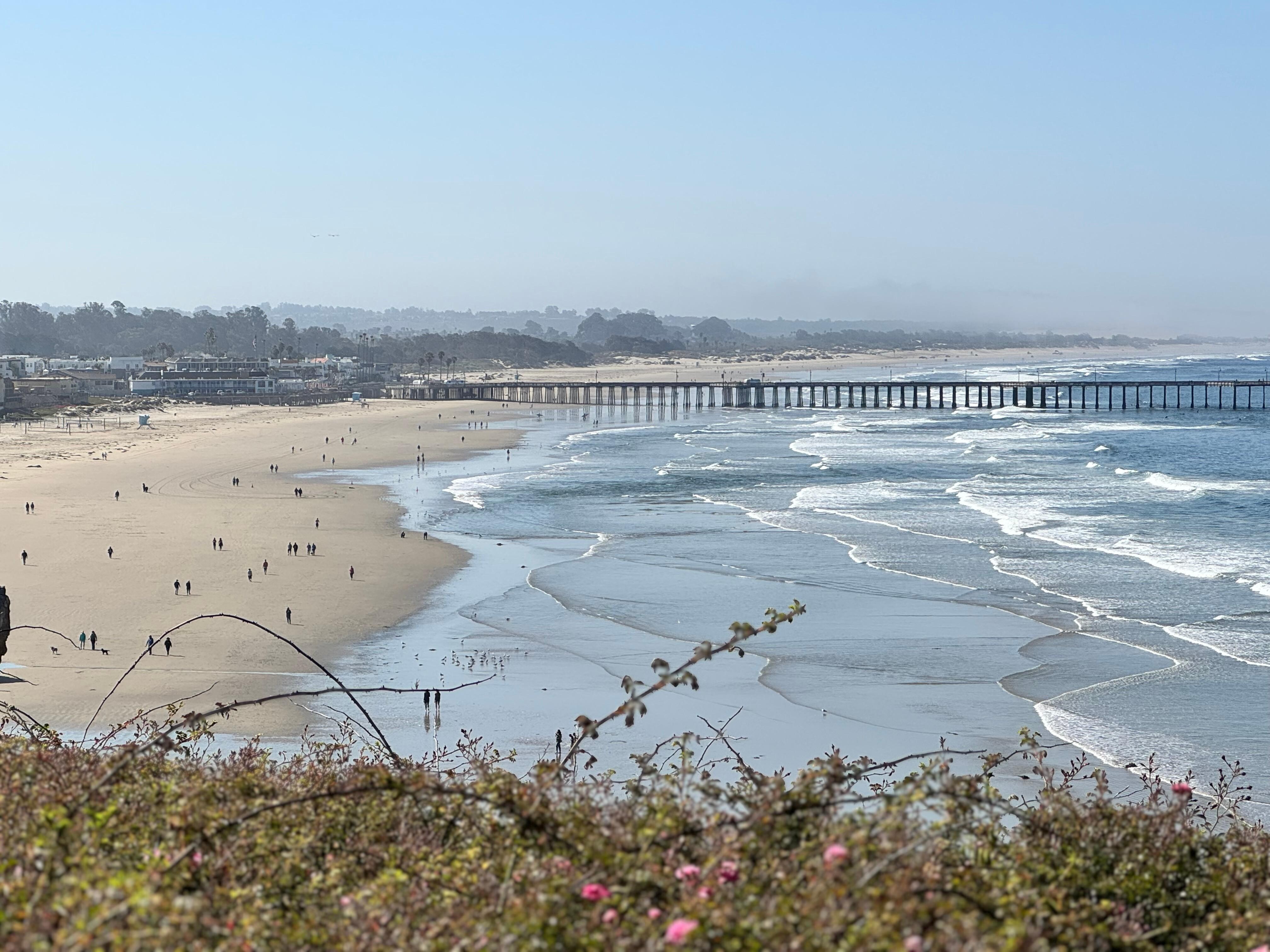 Great beach to walk. 