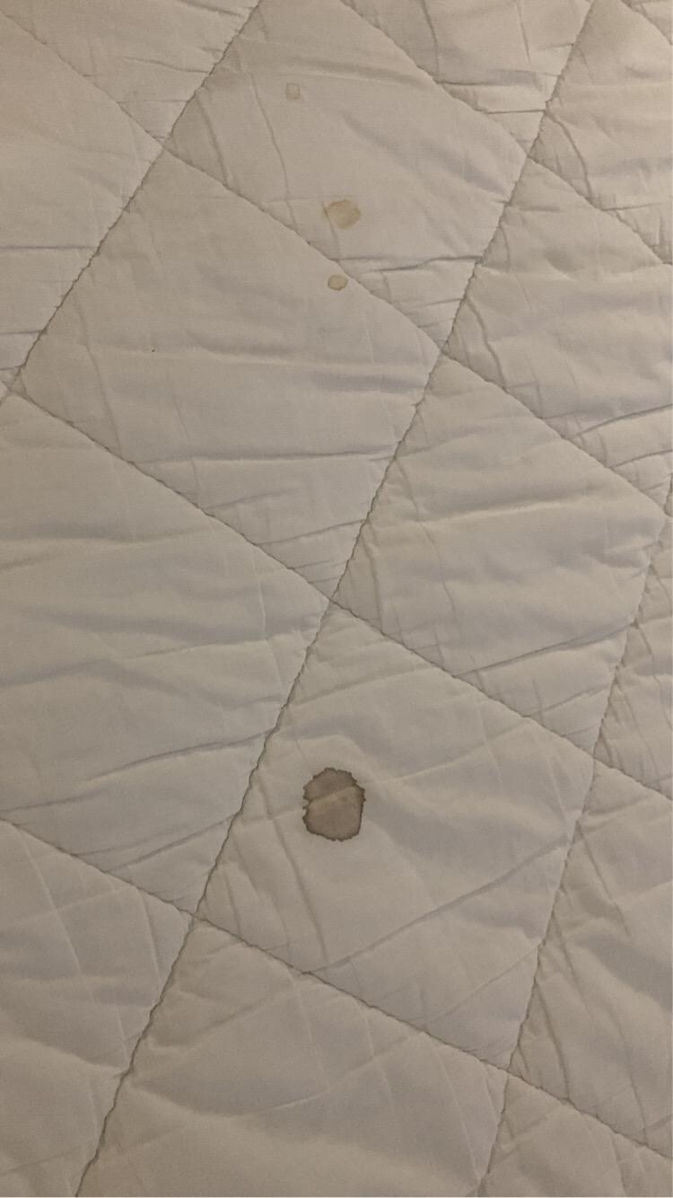 A blood stain plus mysterious stain 