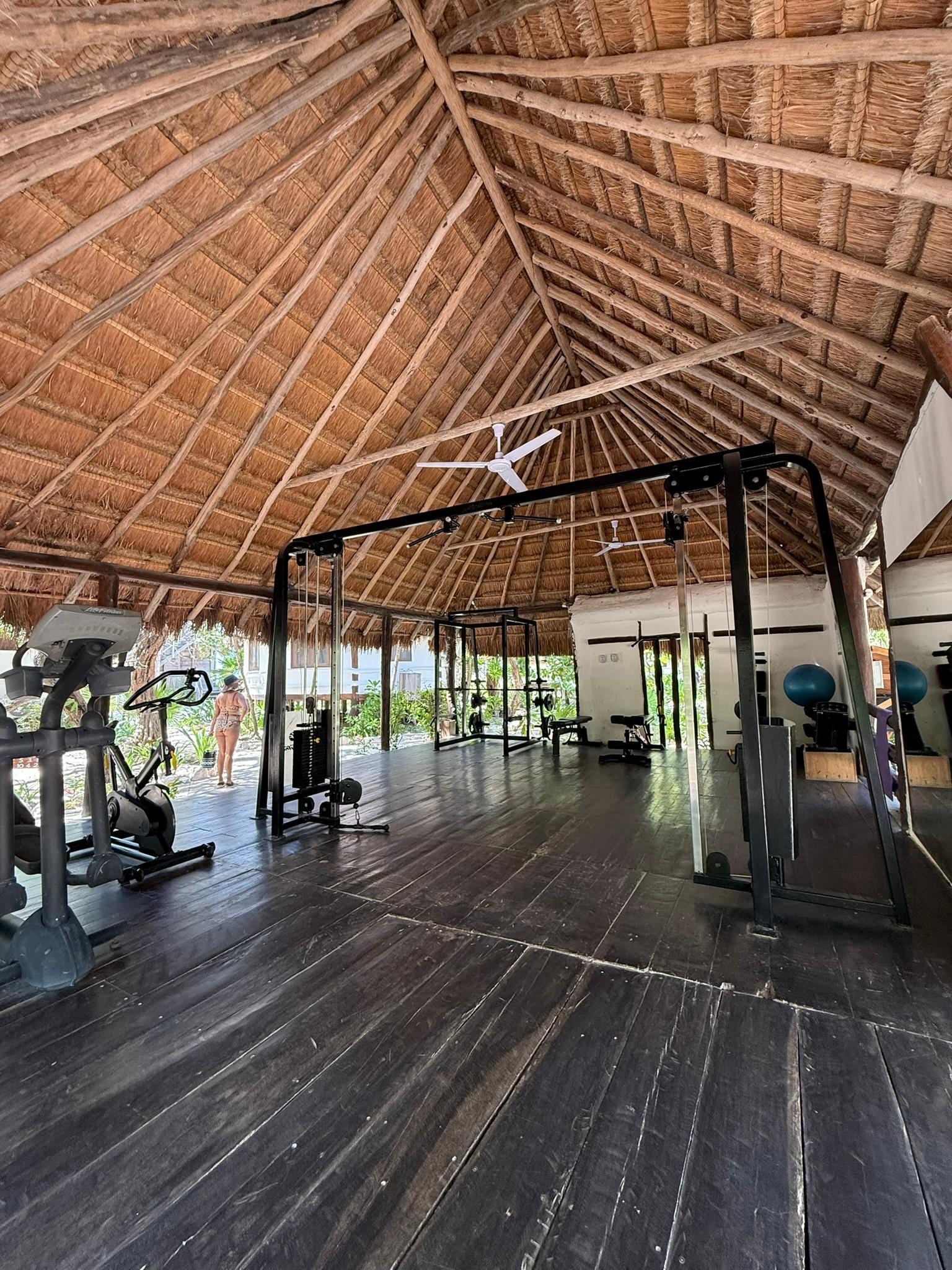 Gym equipment