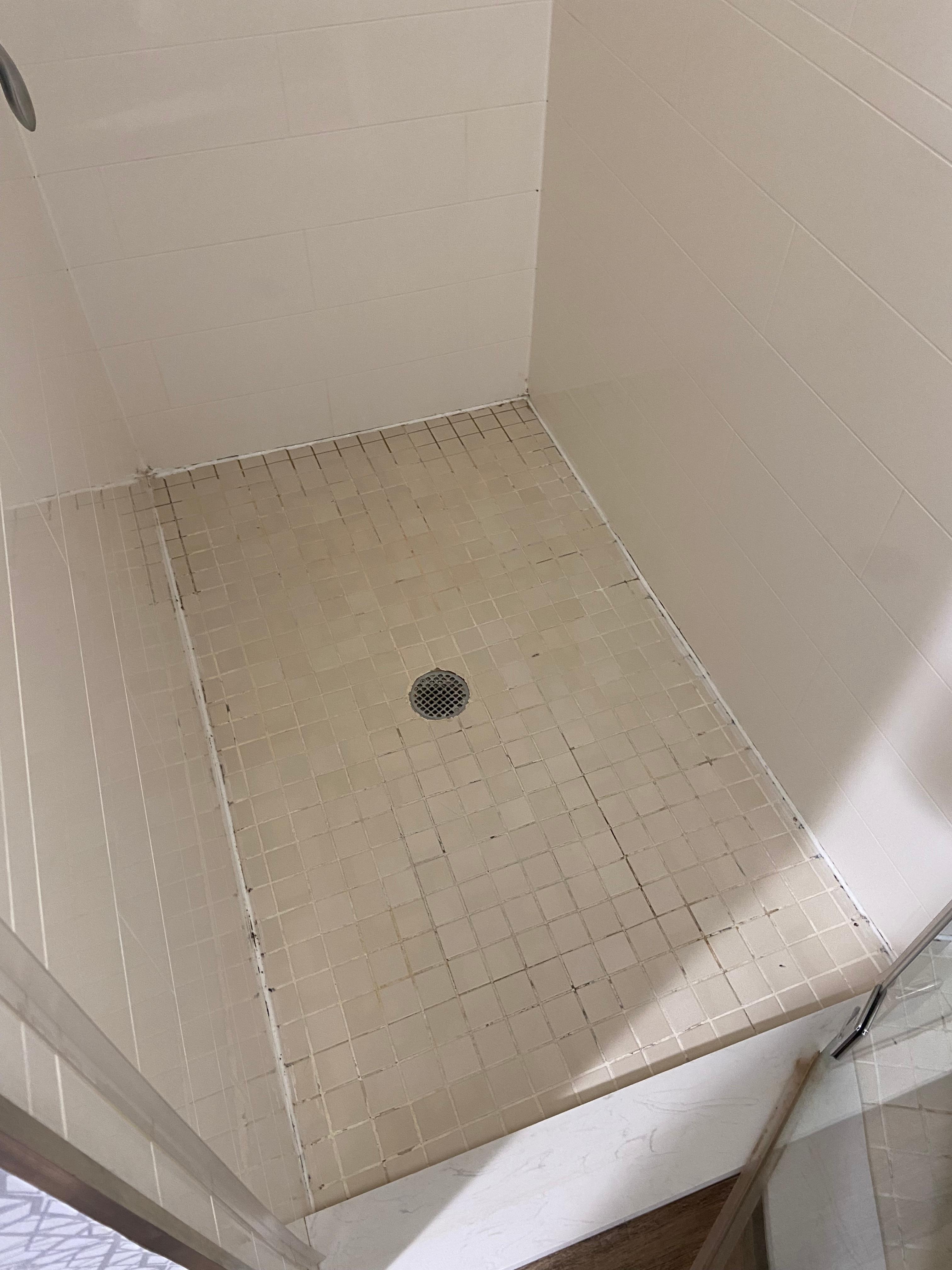 mould like material in the shower floor.