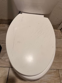 Scratched toilet seat
