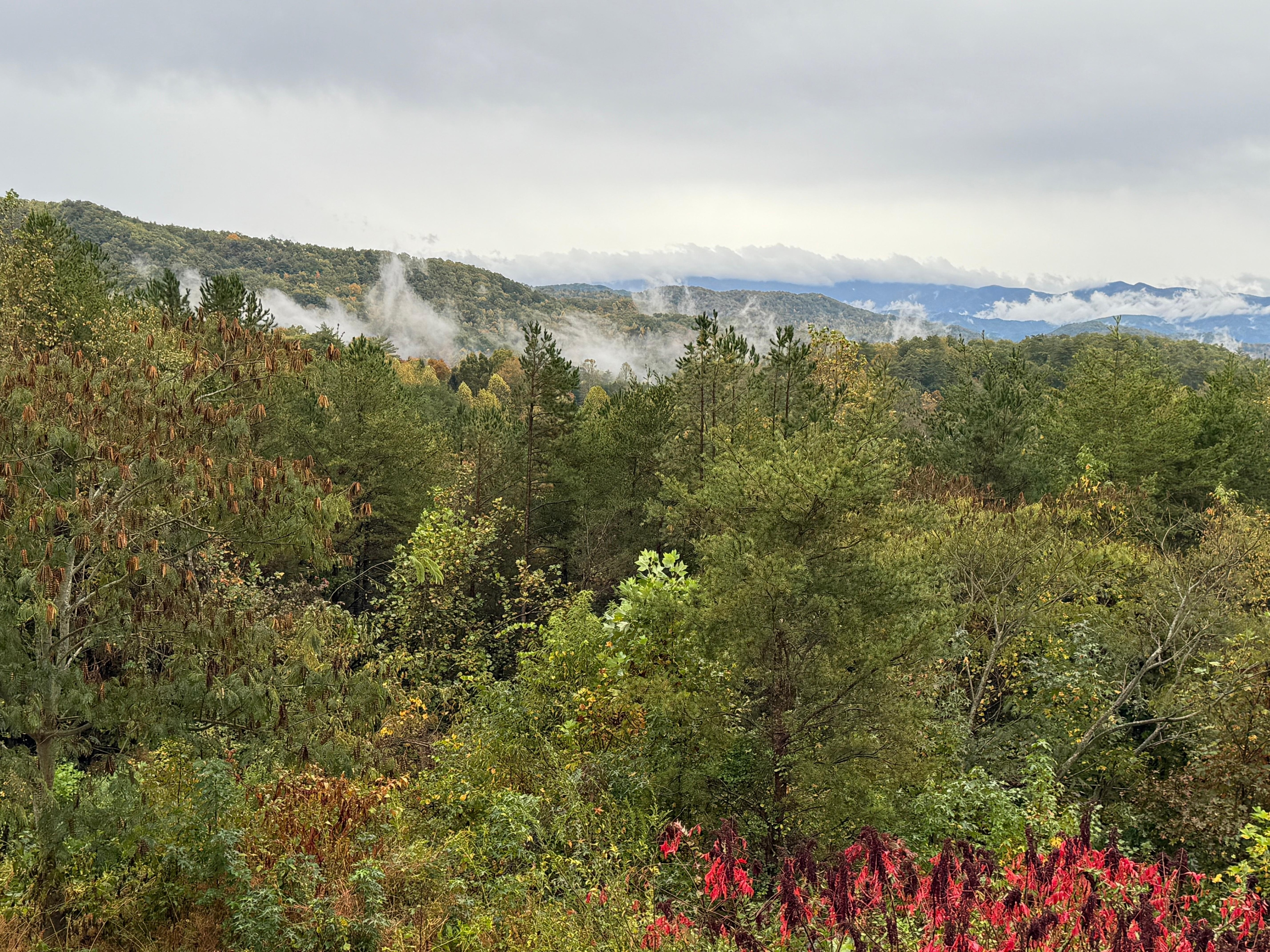 Mist on the mountains